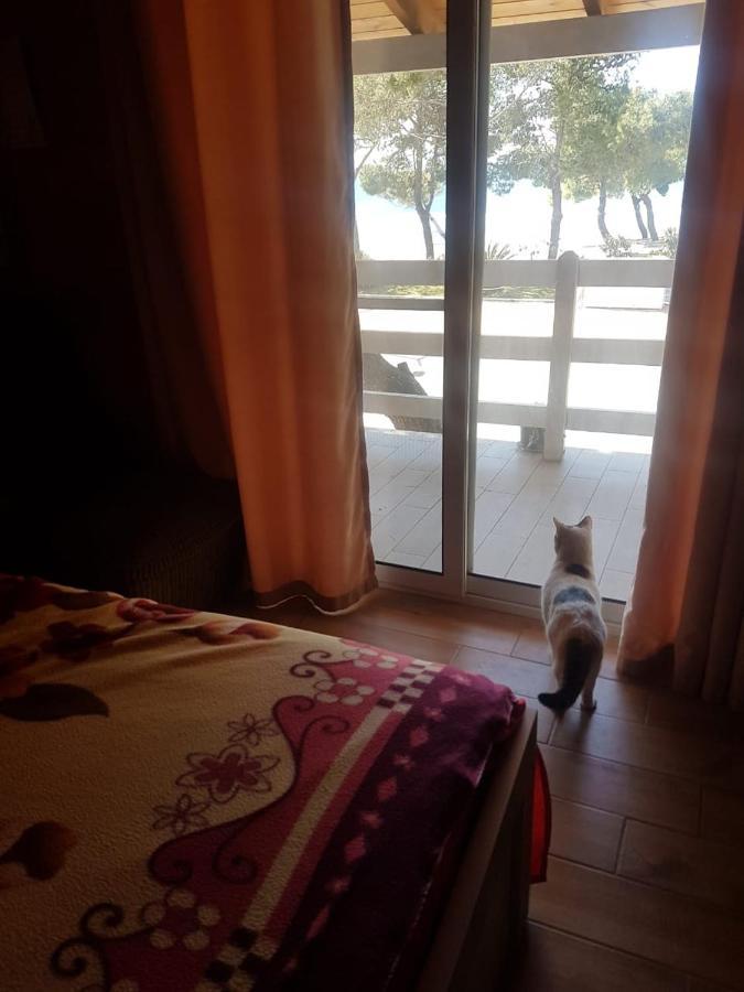 Bujtina E Zefit Gasthuis